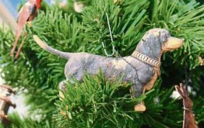 1bf979a7-056f-4026-8b22-df482ac5c365.jpg_1