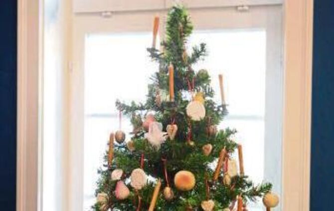 948ce72d-85f1-4eb0-bde9-3fe8419e2510.jpg_4