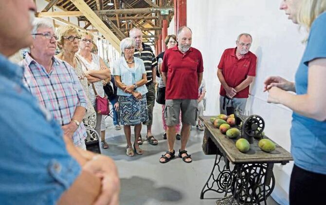 Sommertour Triennale