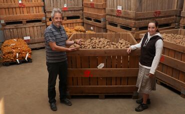 kartoffeln herbstreise01