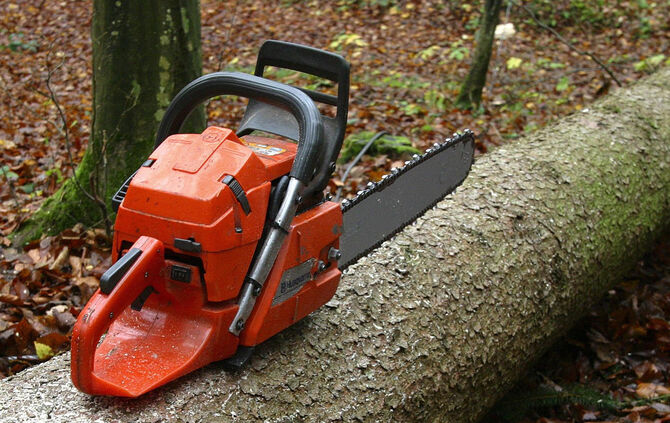 Kettensäge Säge Wald Baumfällen Symbol Symbolfoto Symbolbild