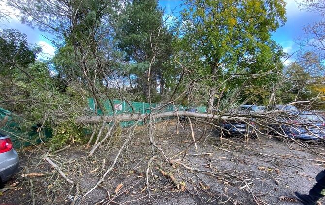 Feuerwehr Fellbach Schmiden Sturm Ignatz Sturmtief Bäume