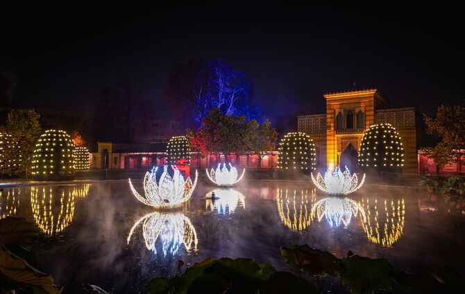 CGS-Archivbilder ©Christmas Garden-Wecause Bild 2