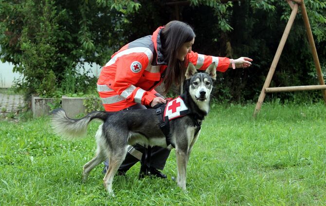 Rettungshundestaffel DRK Kernen