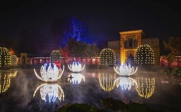 Wilhelma Christmas Garden