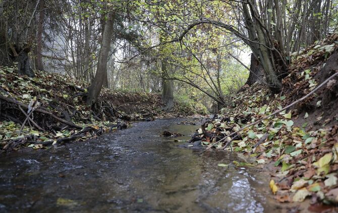 Renaturierung Zipfelbach