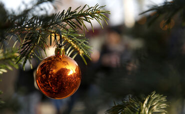Weihnachten Christbaumkugel Tannenzweig Symbolfoto