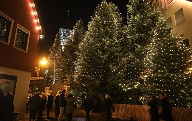 Adventswald Rudersberg Keine Weihnachtslichtung in Rudersberg: Ersatz für Adventswald abgesagt ...