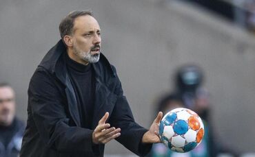 Pellegrino Matarazzo gestikuliert