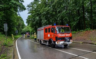 Massiver Baum stürzt auf Landstrasse - Bild 01_0