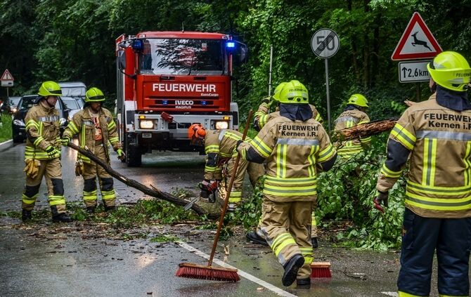 Massiver Baum stürzt auf Landstrasse - Bild 02_1