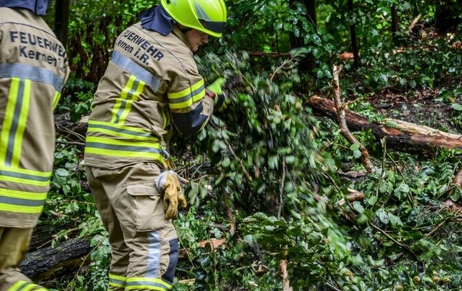 Massiver Baum stürzt auf Landstrasse - Bild 07_6