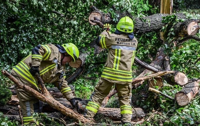 Massiver Baum stürzt auf Landstrasse - Bild 08_7