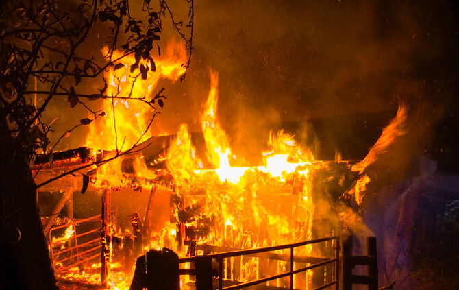 bb_brand_steinenberg_03-11-2016_18_0