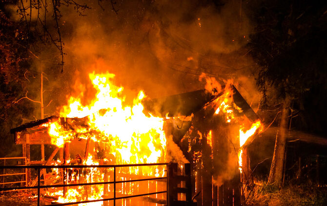 bb_brand_steinenberg_03-11-2016_17_18