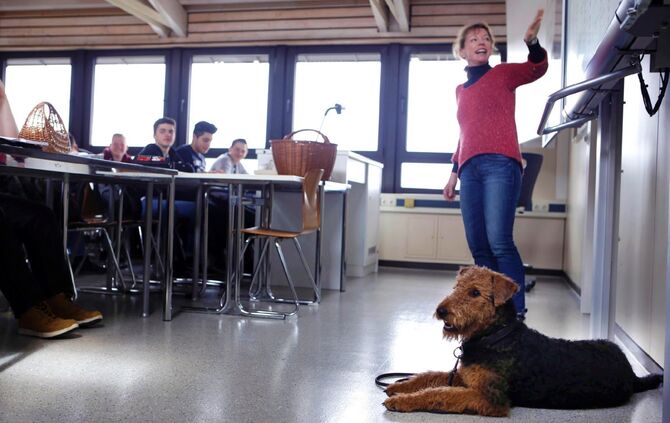 e9031d3d-d280-4927-a91d-caba274ab09f.jpg_0