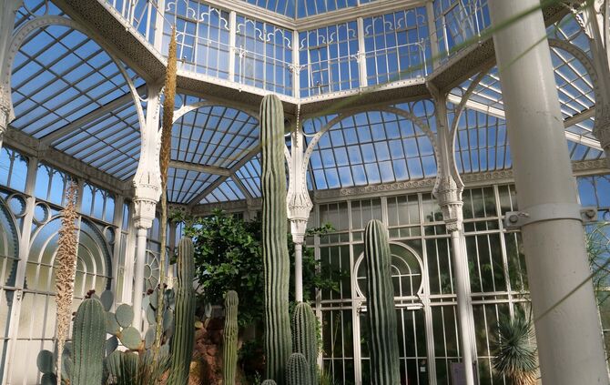 Wilhelma-Besuch ab sofort nur noch mit 2GPlus-Nachweis