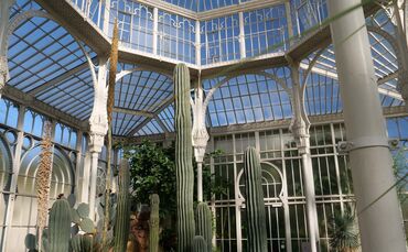 Wilhelma-Besuch ab sofort nur noch mit 2GPlus-Nachweis