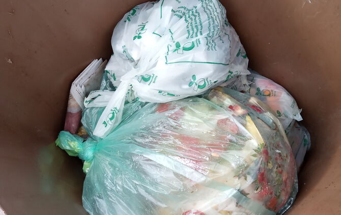 Müllbeutel aus Bioplastik ab 1.1.2022 verboten