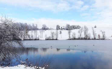 Aichstrutsee Welzheim Welzheimer Wald Winter 2020
