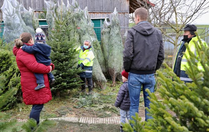 Weihnachtsbaumverkauf