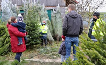 Weihnachtsbaumverkauf 