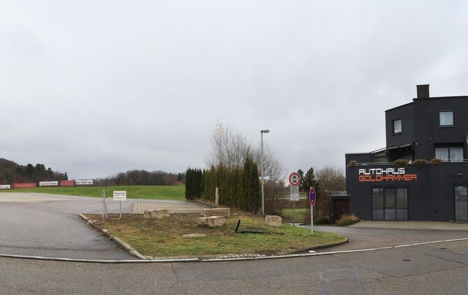 Max-Eyth-Straße 43-1