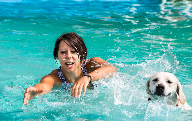 Badespaß für Hunde in Buhlbronn - Bild 09_0