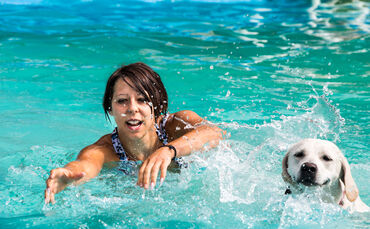 Badespaß für Hunde in Buhlbronn - Bild 09_0