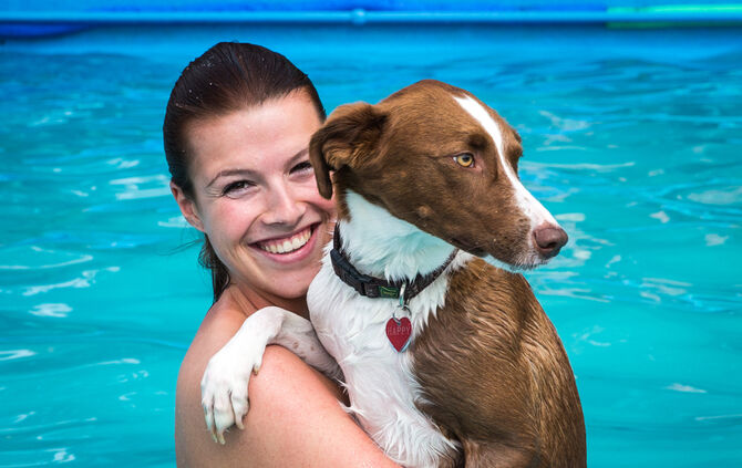 Badespaß für Hunde in Buhlbronn - Bild 25_1