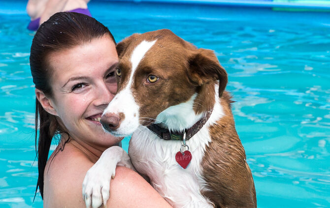 Badespaß für Hunde in Buhlbronn - Bild 24_2