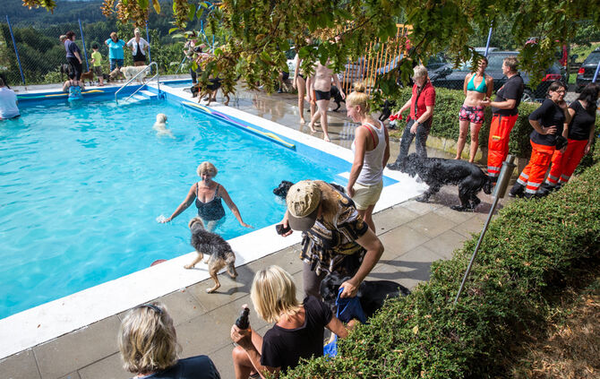 Badespaß für Hunde in Buhlbronn - Bild 01_3