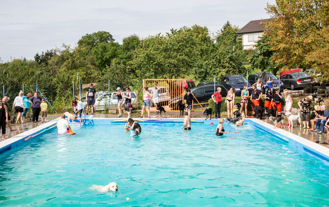 Badespaß für Hunde in Buhlbronn - Bild 02_4