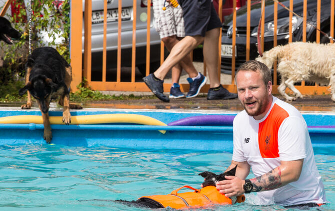 Badespaß für Hunde in Buhlbronn - Bild 06_8