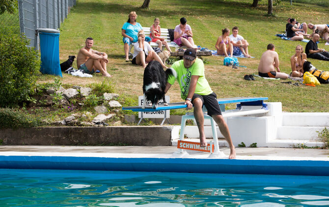 Badespaß für Hunde in Buhlbronn - Bild 16_16