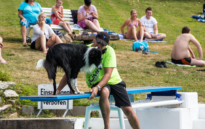 Badespaß für Hunde in Buhlbronn - Bild 17_17