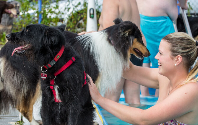 Badespaß für Hunde in Buhlbronn - Bild 29_24