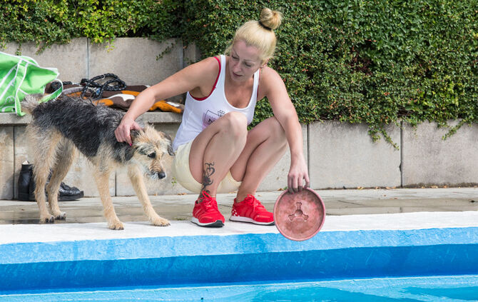 Badespaß für Hunde in Buhlbronn - Bild 20_26