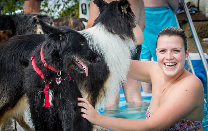 Badespaß für Hunde in Buhlbronn - Bild 30_28