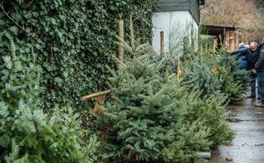 Weihnachtsmarkt auf dem Hegnauhof - Bild 01_0