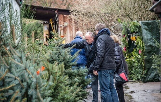 Weihnachtsmarkt auf dem Hegnauhof - Bild 02_1