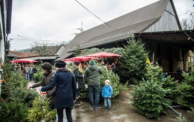 Weihnachtsmarkt auf dem Hegnauhof - Bild 05_4