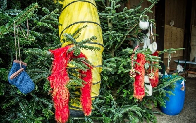 Weihnachtsmarkt auf dem Hegnauhof - Bild 06_5