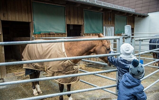 Weihnachtsmarkt auf dem Hegnauhof - Bild 09_8