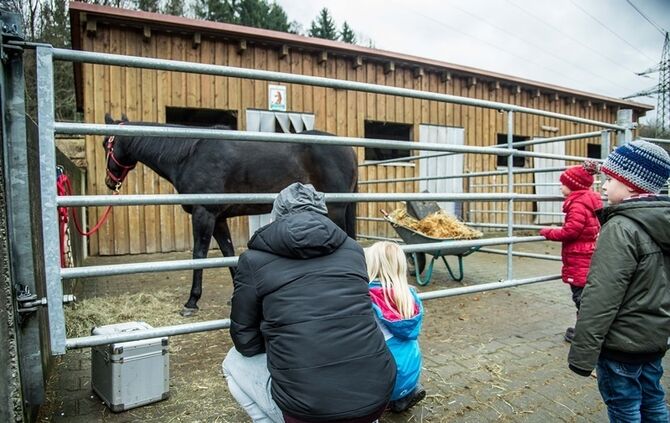 Weihnachtsmarkt auf dem Hegnauhof - Bild 10_9