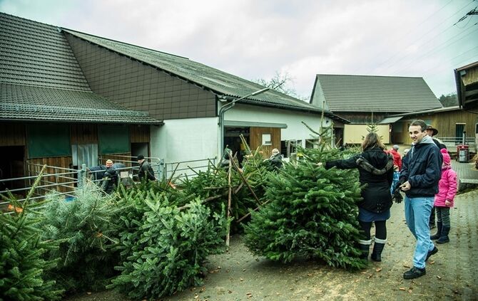Weihnachtsmarkt auf dem Hegnauhof - Bild 11_10