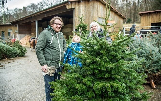 Weihnachtsmarkt auf dem Hegnauhof - Bild 13_12