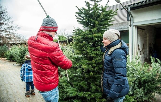 Weihnachtsmarkt auf dem Hegnauhof - Bild 14_13