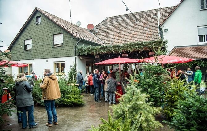 Weihnachtsmarkt auf dem Hegnauhof - Bild 19_18