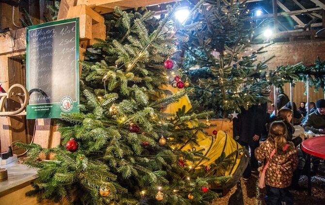 Weihnachtsmarkt auf dem Hegnauhof - Bild 22_21
